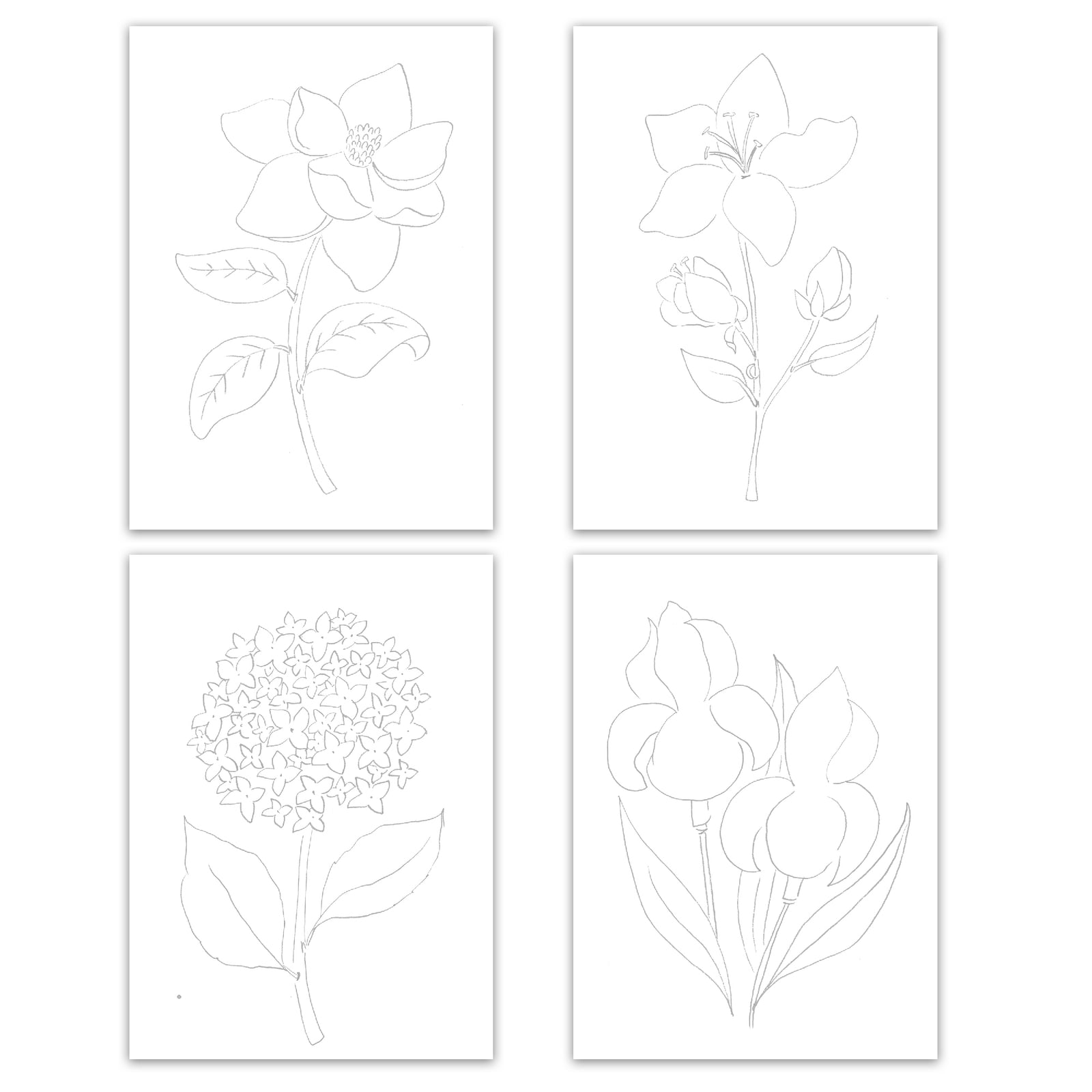 Paintable Floral Notecard Set