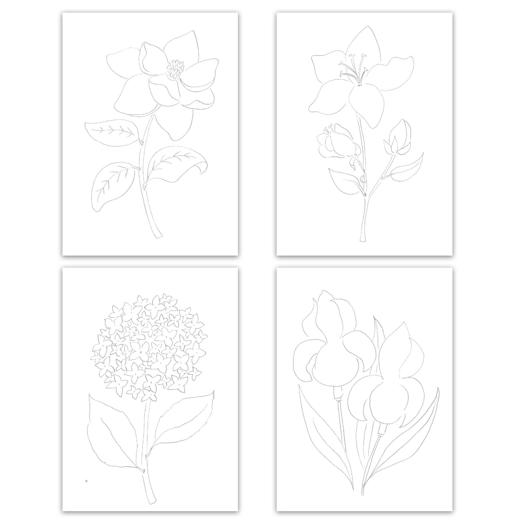 Paintable Floral Notecard Set