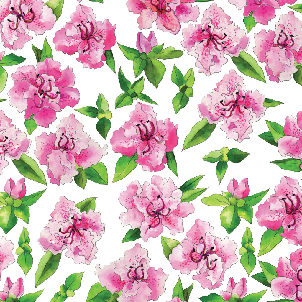 Azalea Gift Wrap