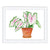 Caladium Art Print