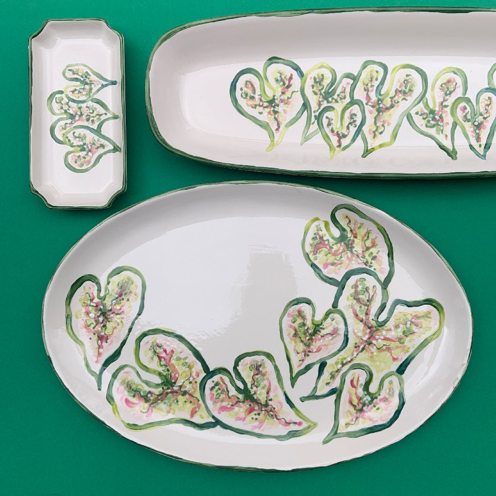 Caladium Orleans Tray