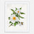 Georgia Cherokee Rose Art Print