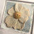 Magnolia Sculpted Flower