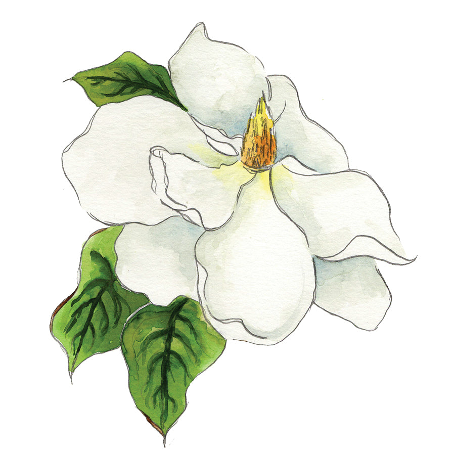 Magnolia Sticker