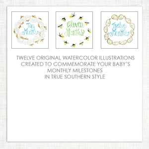 Southern Baby Milestone Cards