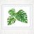 Monstera Art Print