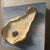 Oyster Ceramic Block